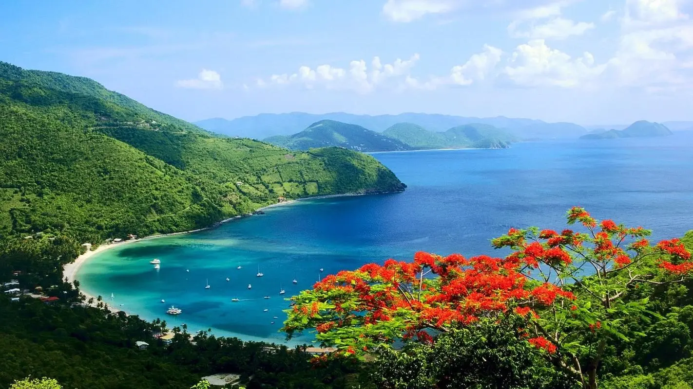 网络化无人化网络化